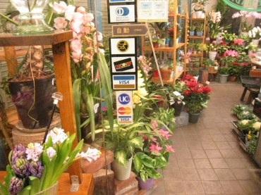 「井上花壇」　（京都府京都市左京区）の花屋店舗写真3